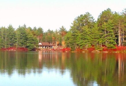 Living Off the Grid: Dream or Nightmare? Image